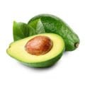 Avokado Fidanı